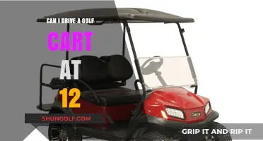 Legal Age to Drive a Golf Cart: 12-Year-Olds Behind the Wheel?