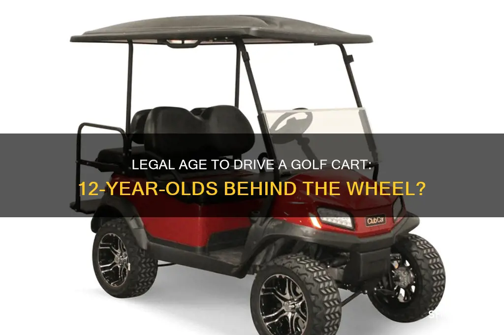 can i drive a golf cart at 12