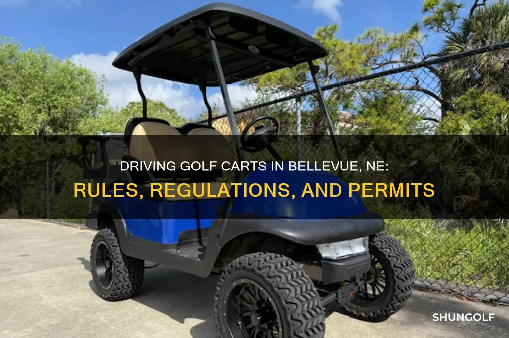 can i drive a golf cart in bellevue ne