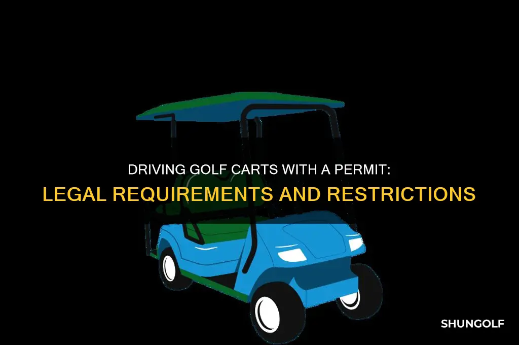 can i drive a golf cart with a permit