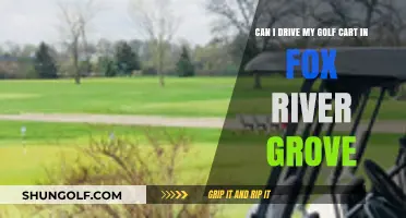 Driving Golf Carts in Fox River Grove: Rules and Regulations Explained