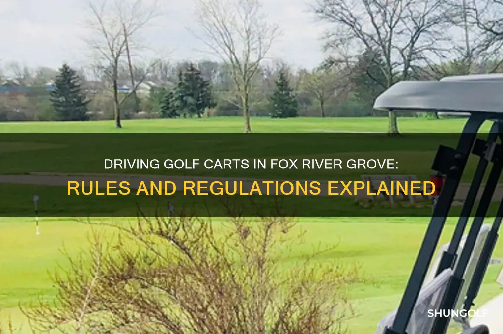 can i drive my golf cart in fox river grove