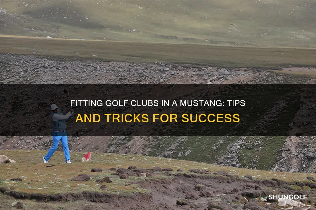 can i fit golf clubs in a mustange