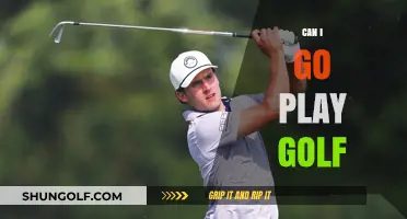Can I Go Play Golf? Balancing Work, Life, and Leisure