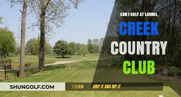 Golfing at Laurel Creek Country Club: Membership, Access, and Amenities Explained