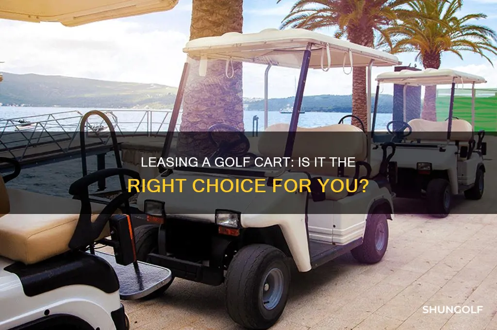 can i lease a golf cart