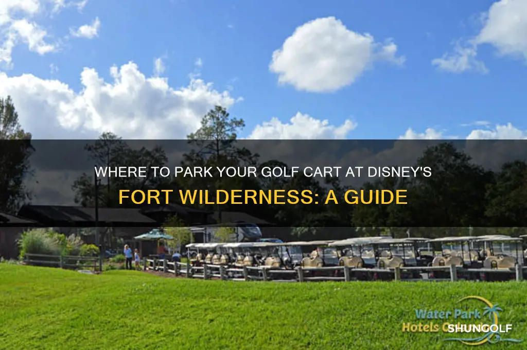 can i leave my golf cart anywhere ft wilderness