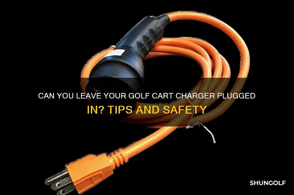 can i leave my golf cart charger plugged in