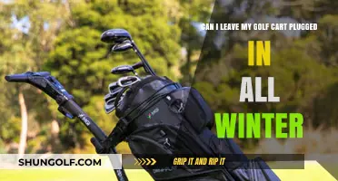 Should You Leave Your Golf Cart Plugged In During Winter Months?