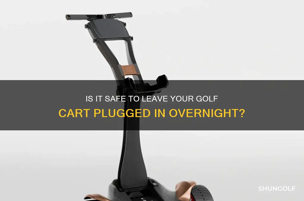 can i leave my golf cart plugged in overnight