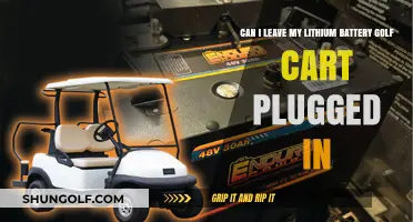 Should You Keep Your Lithium Golf Cart Battery Plugged In?