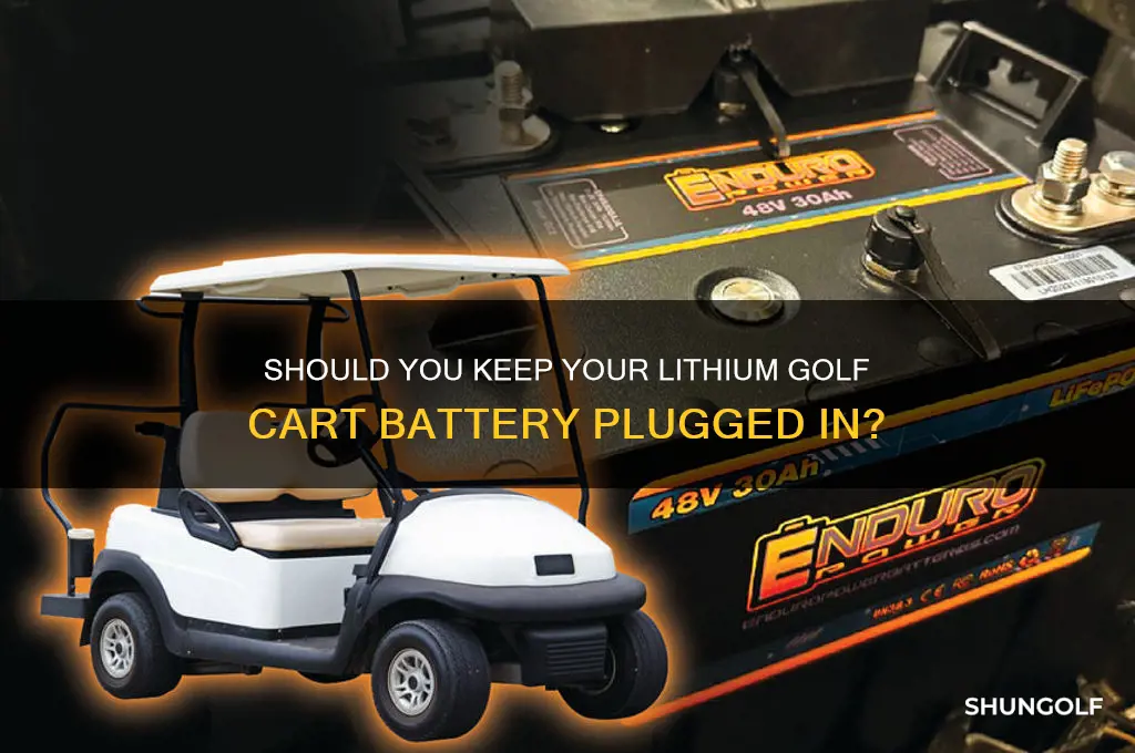 can i leave my lithium battery golf cart plugged in