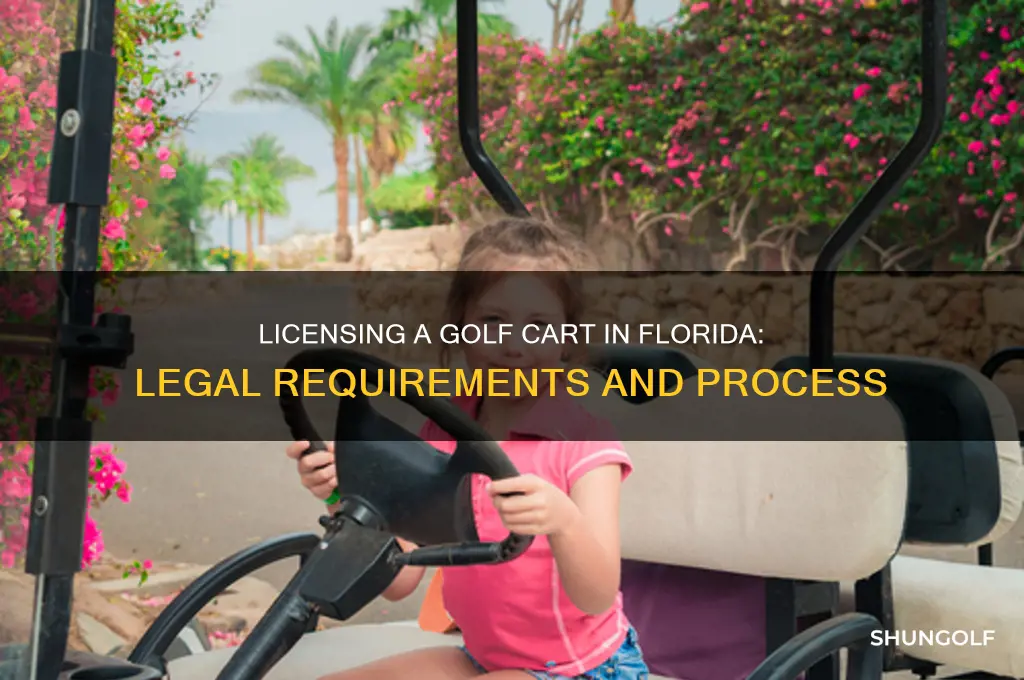 can i license a golf cart in florida