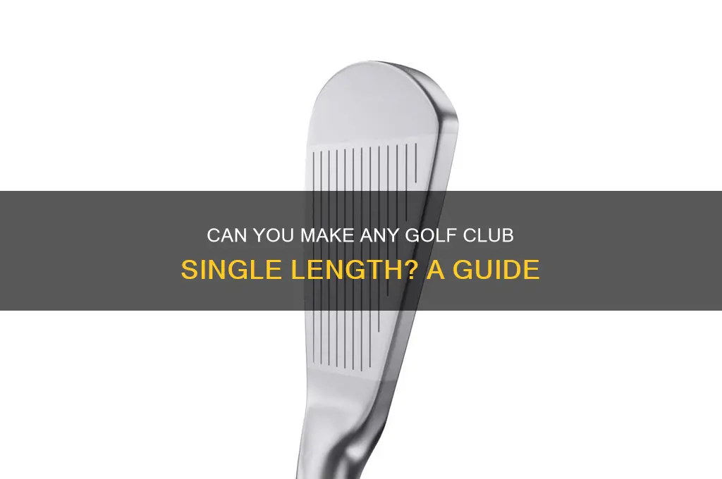 can i make any golf club single length