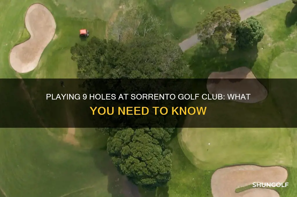 can i play 9 holes at sorrento golf club