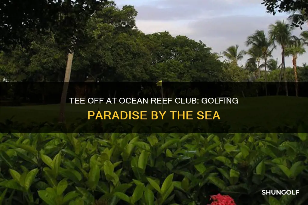 can i play golf at the ocean reef club