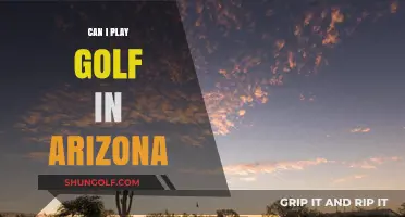 Exploring Arizona's Golf Scene: Courses, Climate, and Year-Round Playability