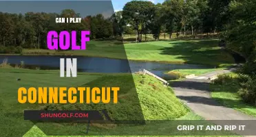Exploring Connecticut's Golf Courses: Where and When to Play