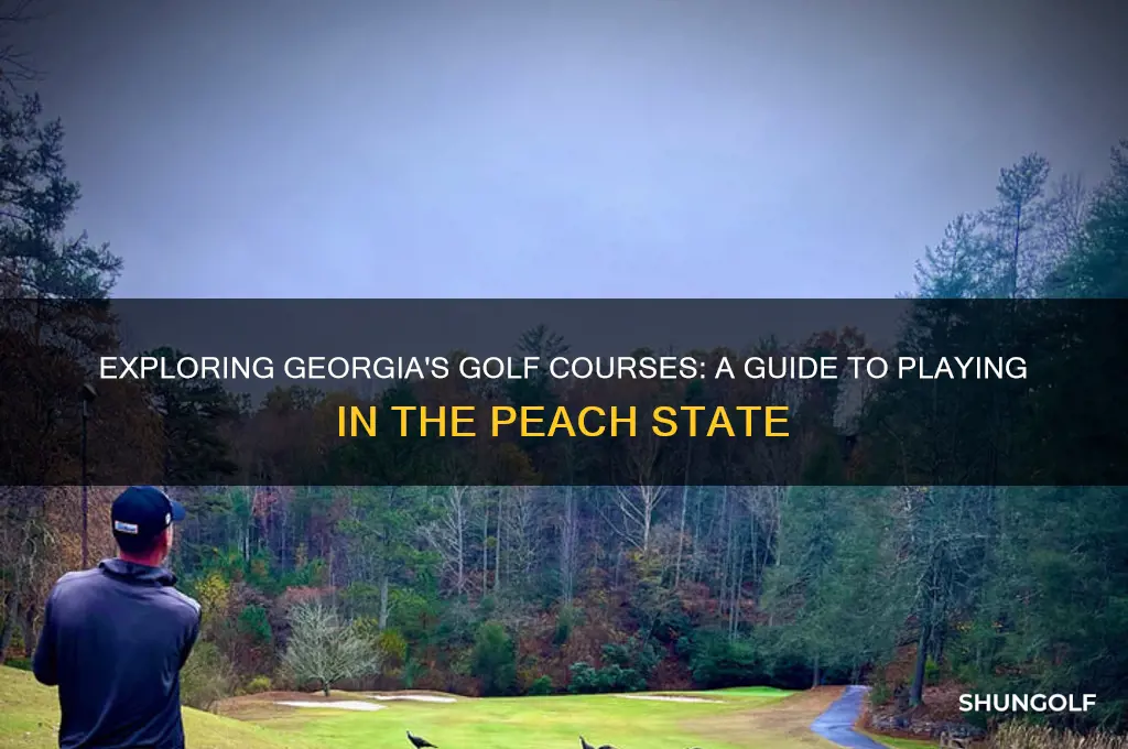 can i play golf in georgia