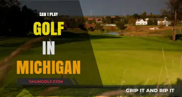 Exploring Michigan's Golf Courses: Can You Tee Off Here?