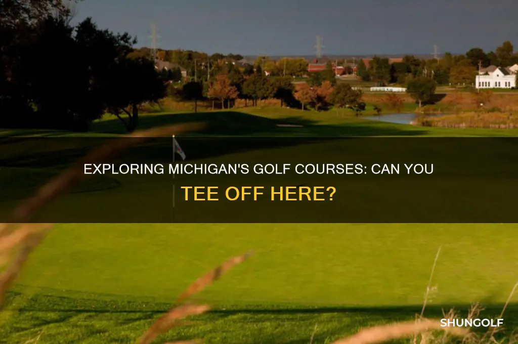can i play golf in michigan