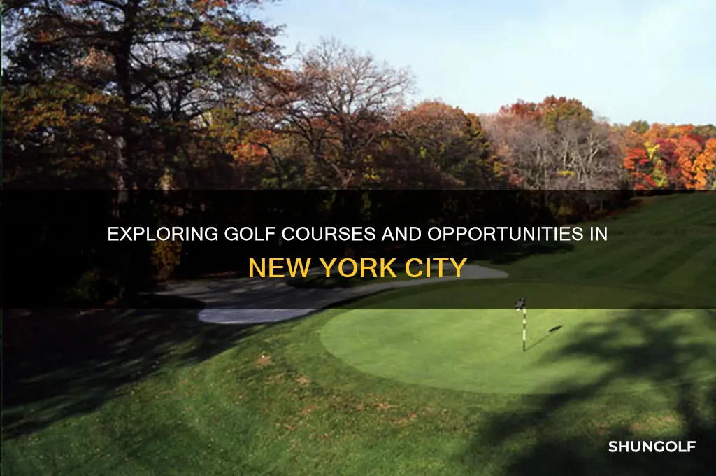 can i play golf in new york