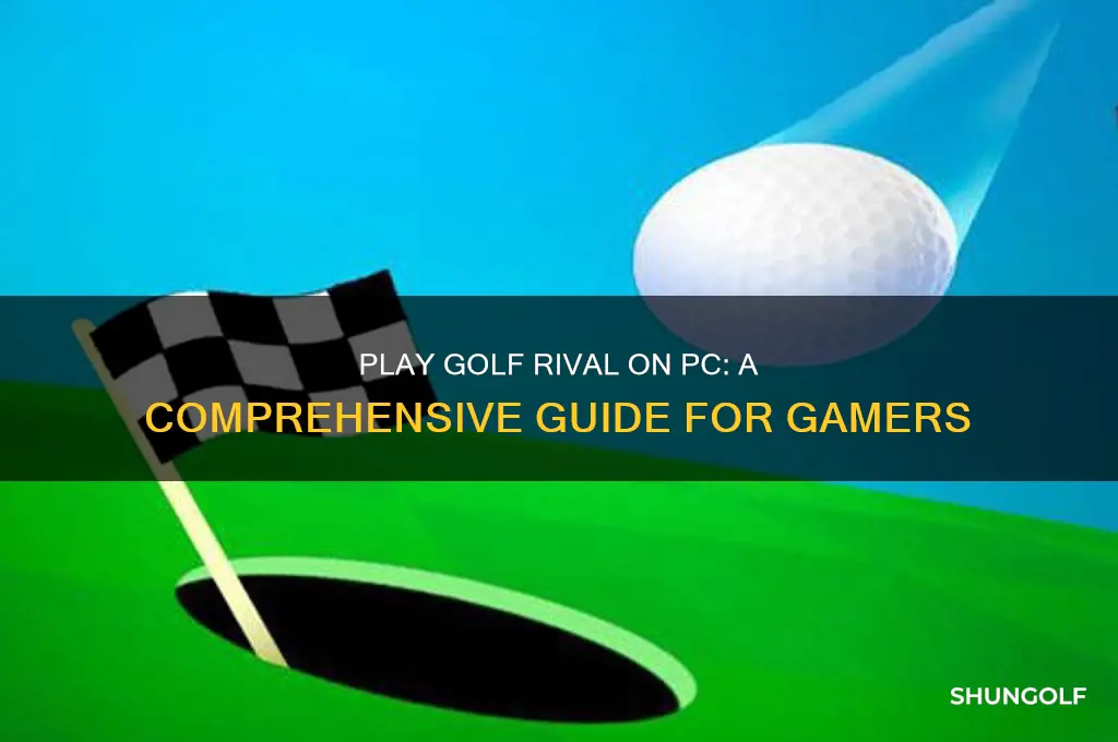 can i play golf rival on pc