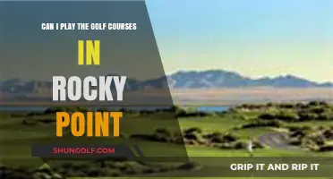 Exploring Rocky Point's Golf Courses: Playability and Access Guide