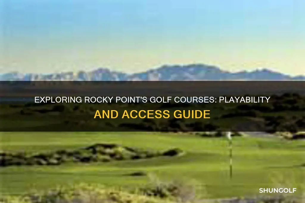 can i play the golf courses in rocky point