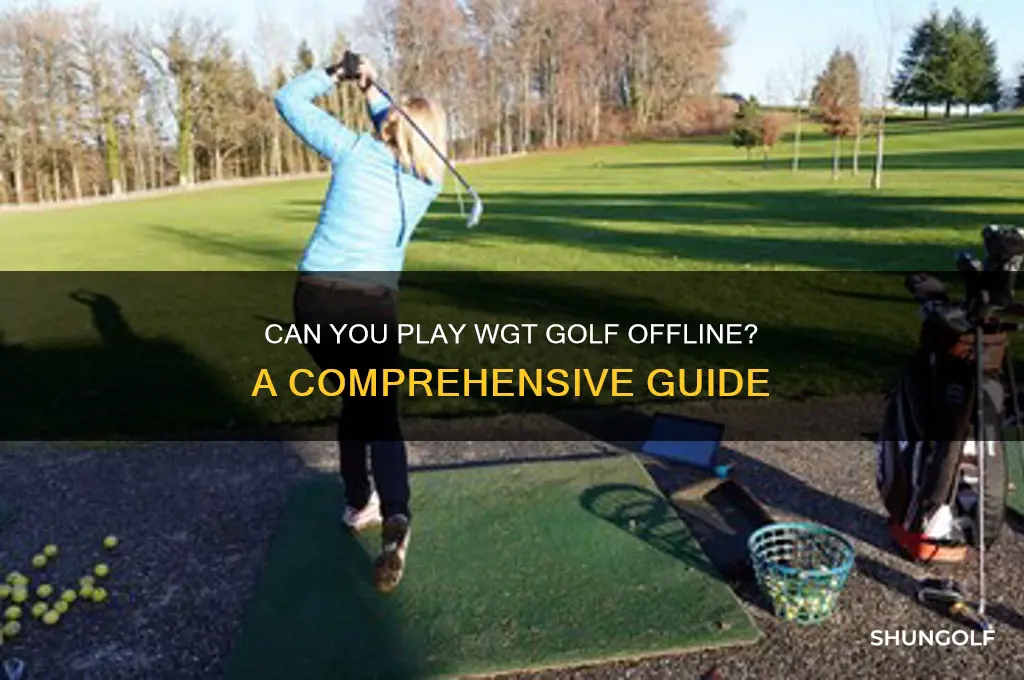 can i play wgt golf offline