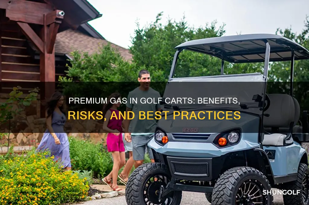 can i put premium gas in my golf cart