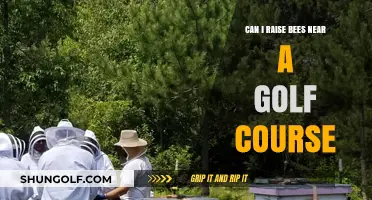 Beekeeping Near Golf Courses: Benefits, Challenges, and Best Practices