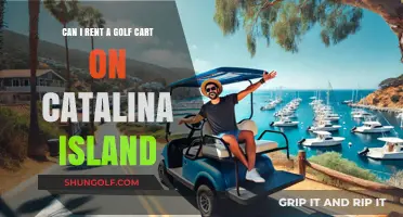 Renting Golf Carts on Catalina Island: Your Ultimate Transportation Guide