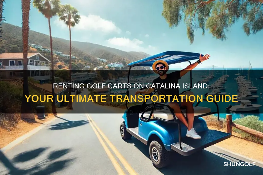 can i rent a golf cart on catalina island