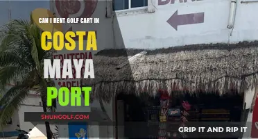 Renting Golf Carts in Costa Maya Port: Your Ultimate Guide