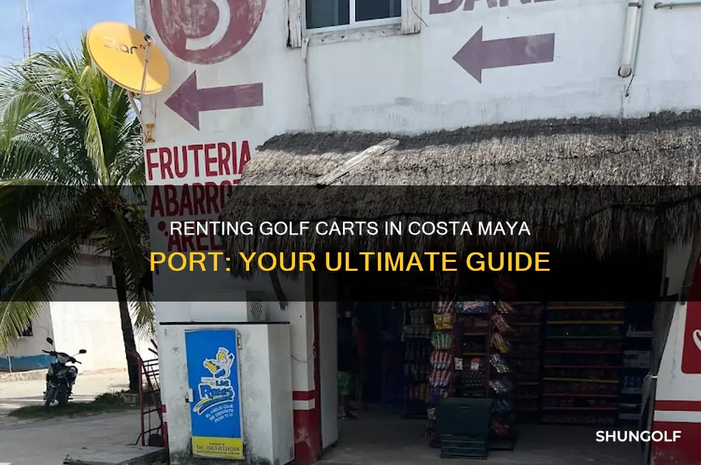 can i rent golf cart in costa maya port
