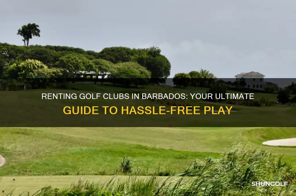 can i rent golf clubs in barbados