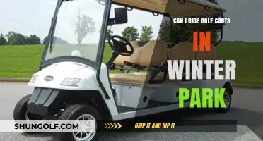 Exploring Winter Park: Are Golf Carts a Viable Winter Transport Option?