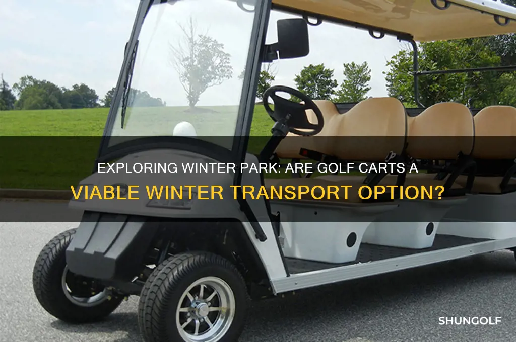 can i ride golf carts in winter park