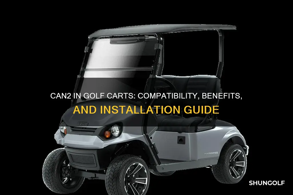 can i run can2 in my golf cart