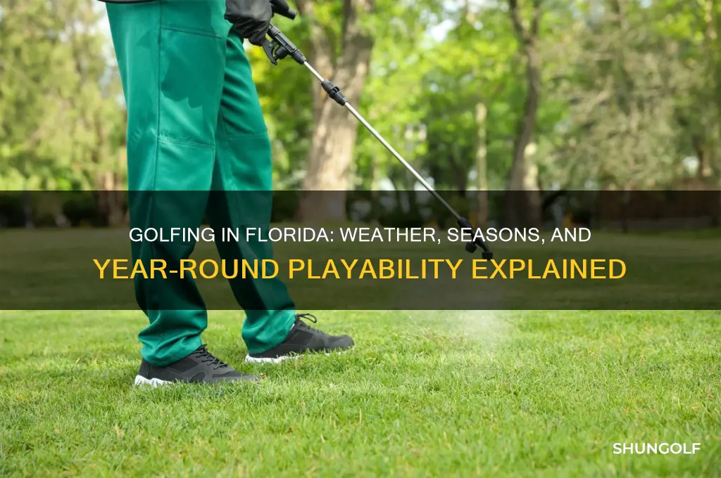 can i still play golf in florida