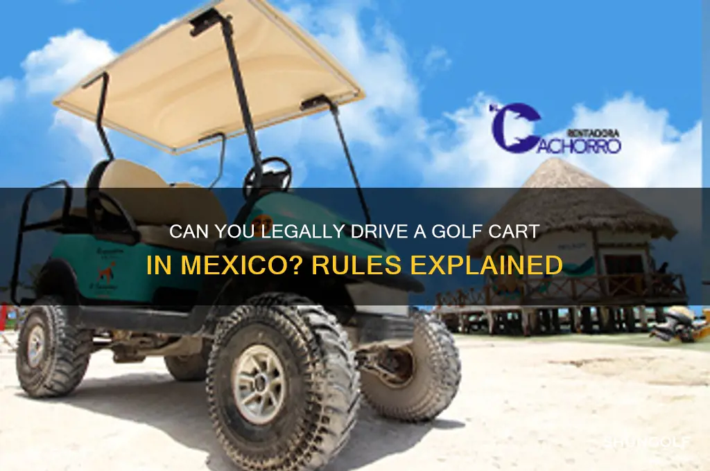 can i take a golf cart to mexico