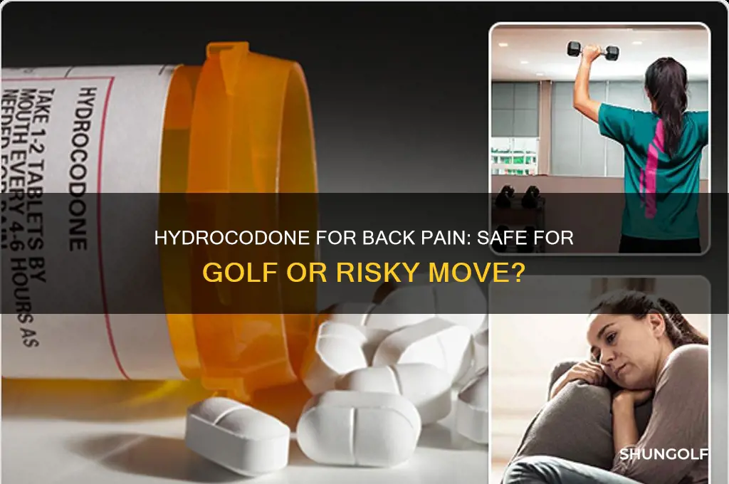 can i take hydrocodone for my back to play golf