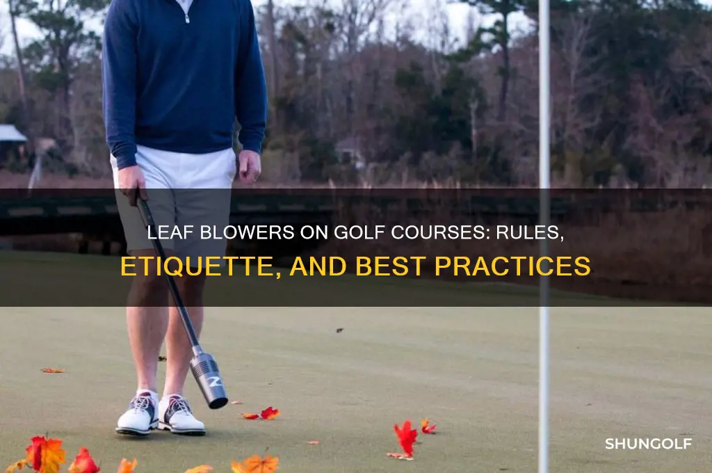 can i use a leaf blower on the golf course