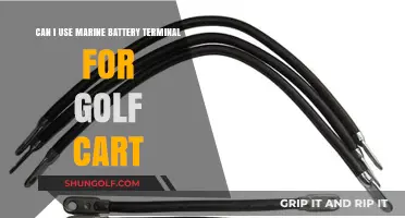 Marine Battery Terminals for Golf Carts: Compatibility and Practical Use