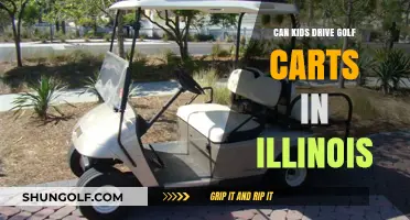 Illinois Golf Cart Laws: Can Kids Drive? Rules Explained