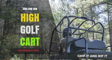 Understanding Low vs. High Speed Golf Carts: Performance and Maintenance Tips