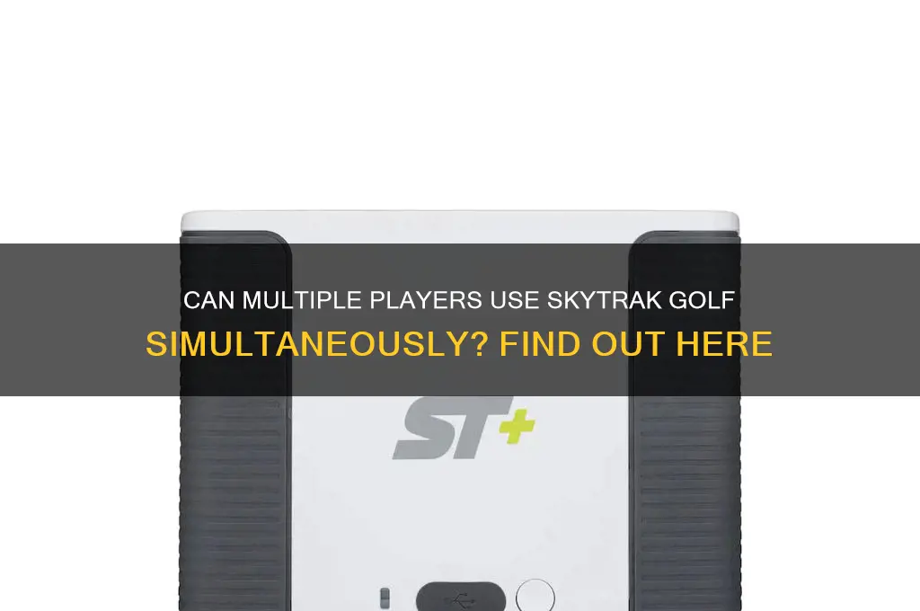 can more than one player play on skytrak golf