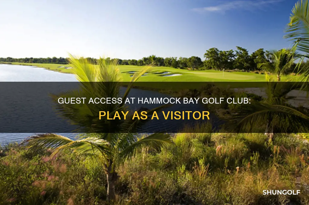 can play hammock bay golf club as guest