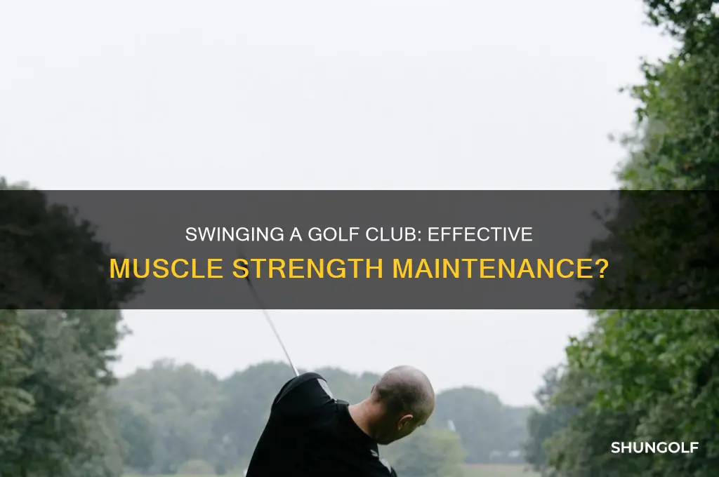 can swinging a golf club maintain muscle strength